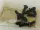 Newlong Schraube / Screw (11/64S40009)